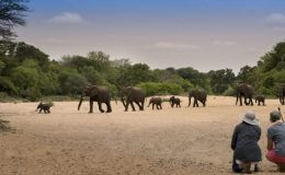 The Kruger National Park without a vehicle