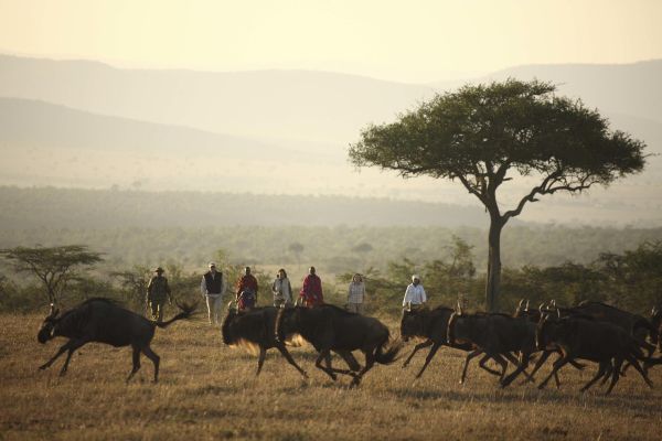 Kicheche Valley Camp Walking