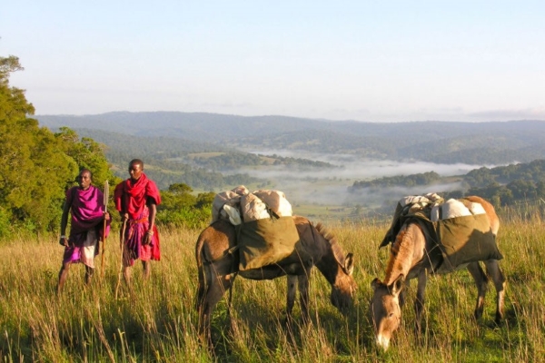 Maasai Trails Donkeys (11)