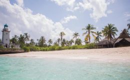 Exclusively Yours – Ideas For Exclusive Safaris