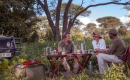 Postcards from Africa