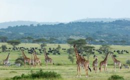 Really, can you go to Africa at the moment?