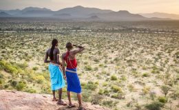 Vicarious Africa