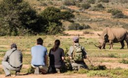 Kwandwe Rhino Conservation Safari