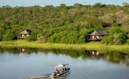 Holidays to dream of – Primates and more in Rwanda and Uganda