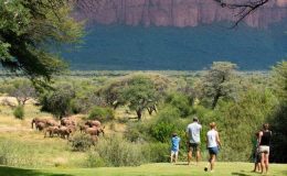 Africa’s Wild Horizons – Aardvark Safaris’ destinations feature in Sky TV series
