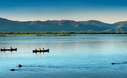 Alternative ways to explore Africa’s wilderness