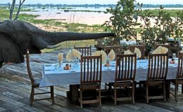 Culinary safari delights