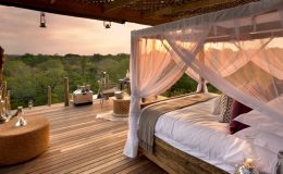 Ten top bucket list safari experiences