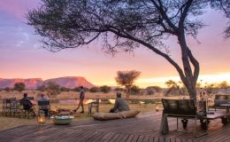 Sabbatical safaris to reset and rejuvenate