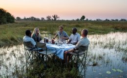 Digital detox on safari
