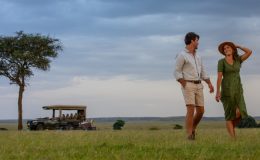 Planning the perfect honeymoon safari