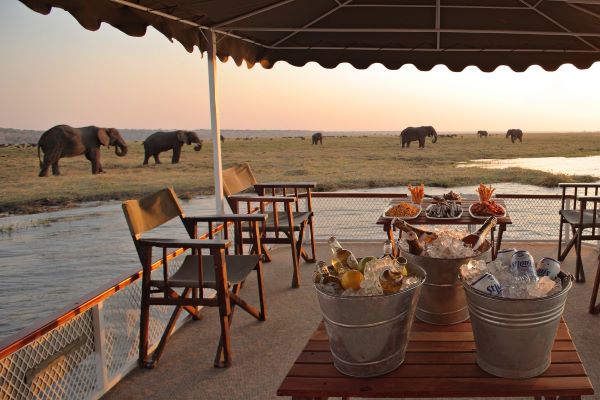 Boat cruise with elephants