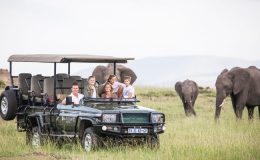 Top 5 ‘Children on Safari’ myths busted