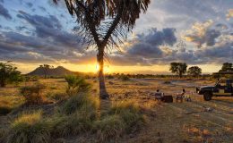Hidden In Plain Sight – Kenya