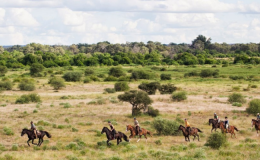 ‘Riding Safaris’ – myths busted