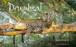 Drumbeat Spring 2023