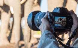 Top Photography Safari Experiences in Africa