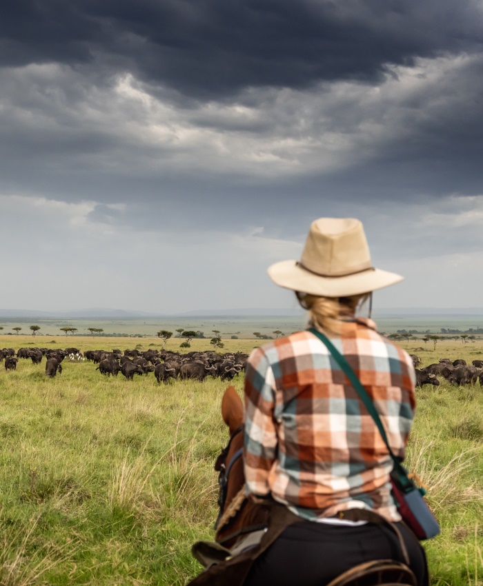 horse riding safari with elephant