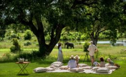 African Safari – The Ultimate Multi-Generational Holiday