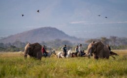 Riding safaris for all abilities