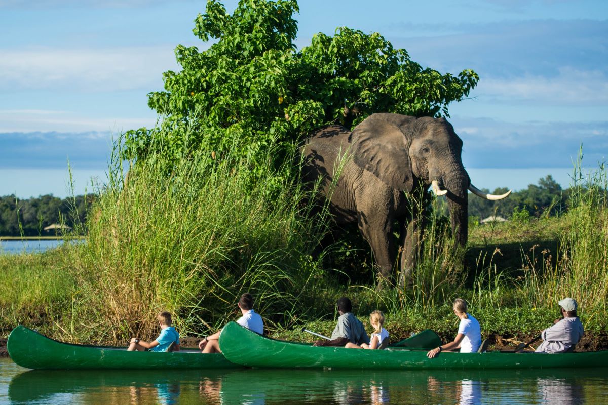 Family Safari in Africa