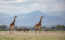 Why choose Aardvark Safaris for your African riding adventure?