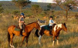 family riding safaris at Ants Hill