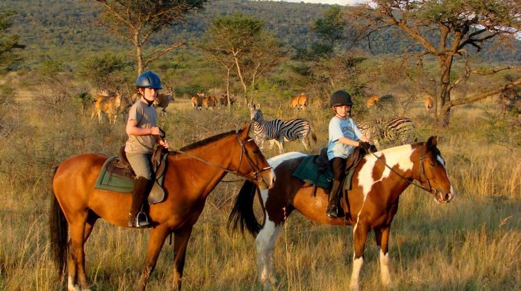 family riding safaris at Ants Hill