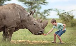 Family conservation safaris in Africa