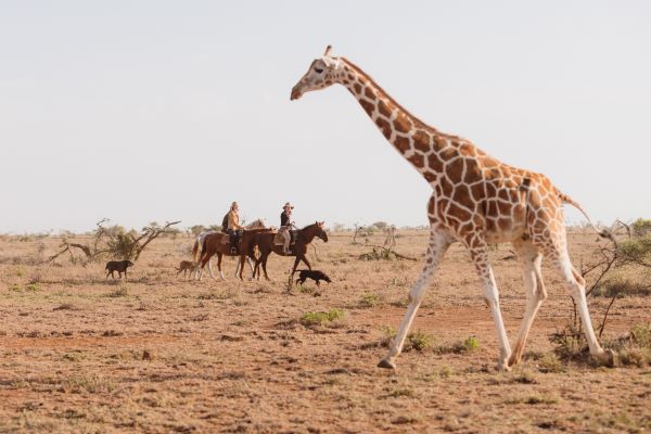 Ol Malo horse riding safaris
