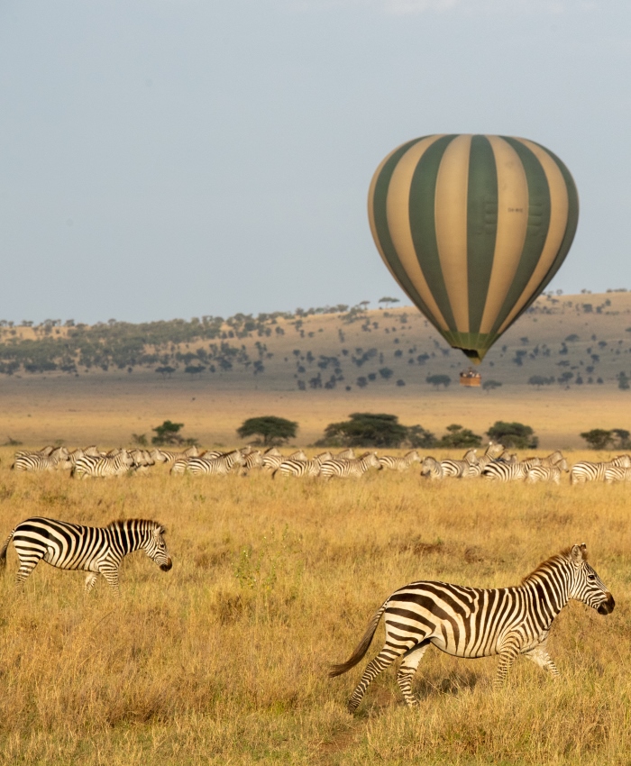 Tanzania