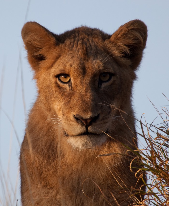 South Africa