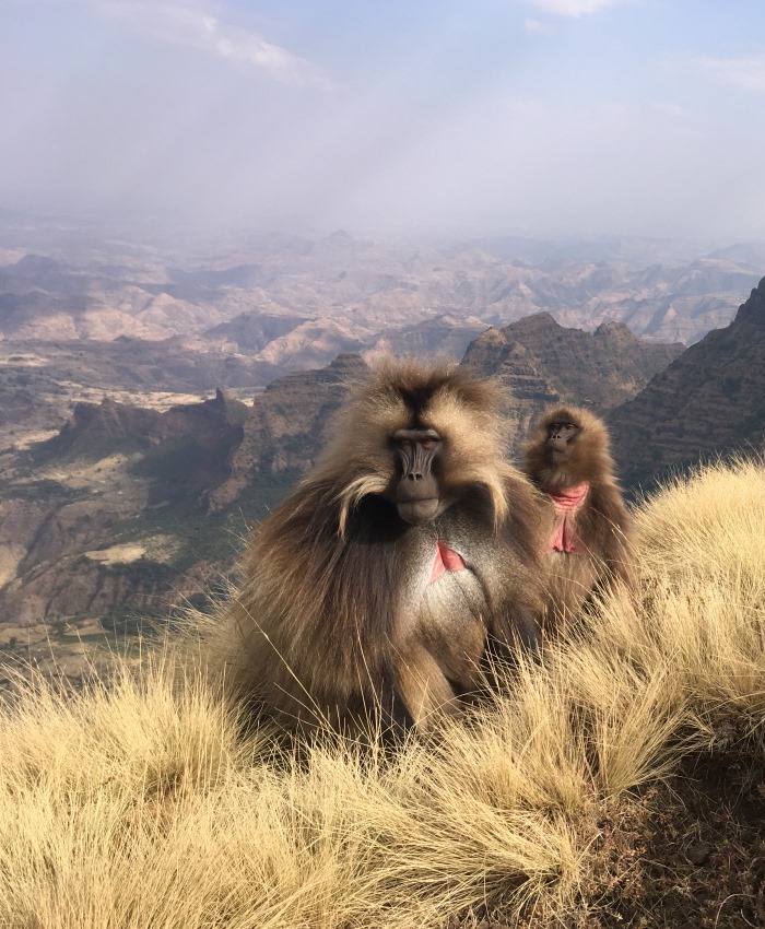 ethiopia