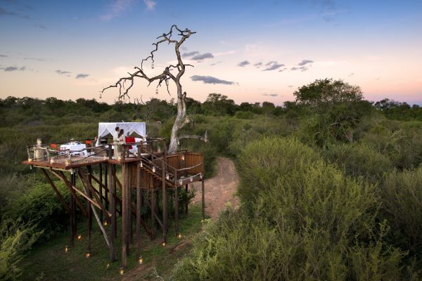 Lion Sands_Chalkley Treehouse