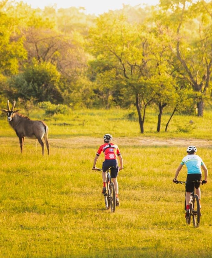 Cycling through the bush