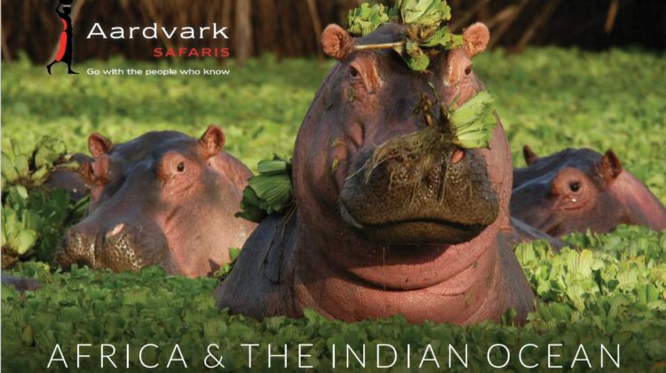 Aardvark Safaris Brochure