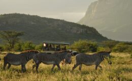 Meet Kenya’s Northern Five
