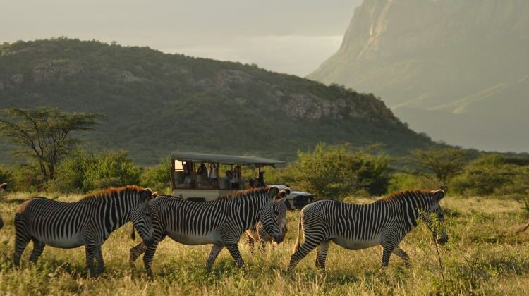 Meet Kenya’s Northern Five