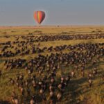 Migration and hot air balloon