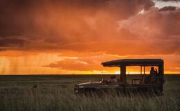 How to enjoy an African safari away from the crowds