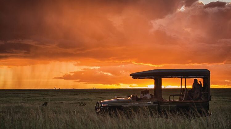 Top 10 safari photography tips