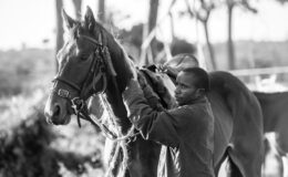 Meet the Grooms: The Heart of African Riding Safaris