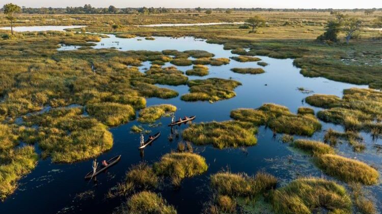 Exciting additions to your traditional safari