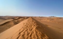 Delta and Deserts