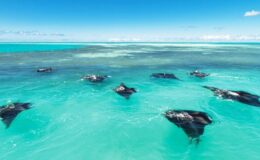 The Seychelles: A beach lover’s paradise