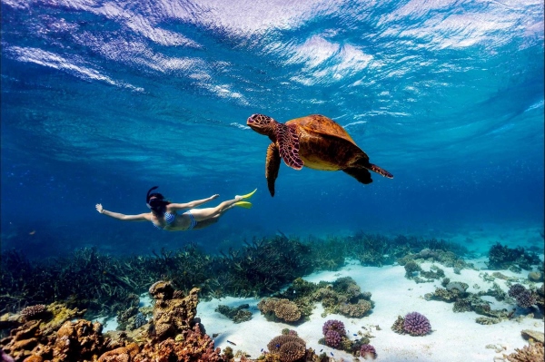 A short break to Africa- snorkelling off Diani Beach in Kenya