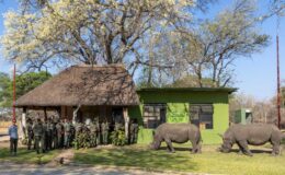 Community Rhino Conservation, Hwange National Park