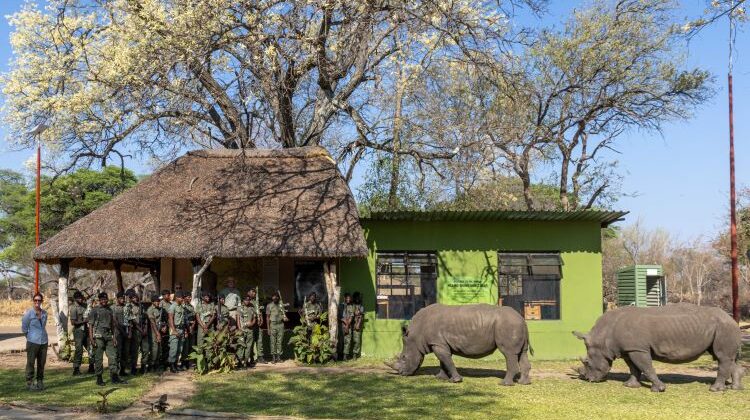 Community Rhino Conservation, Hwange National Park