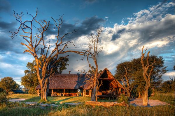 Bomani Tented Camp on the Ngamo Plains - From poacher to protector